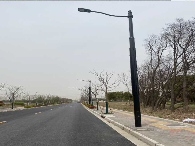 洪泽区上海综合杆 太阳能路灯工程